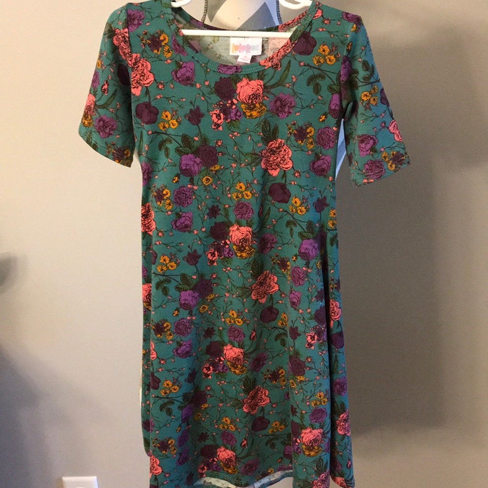 LuLaRoe Adeline UNICORN dress size 8 roses